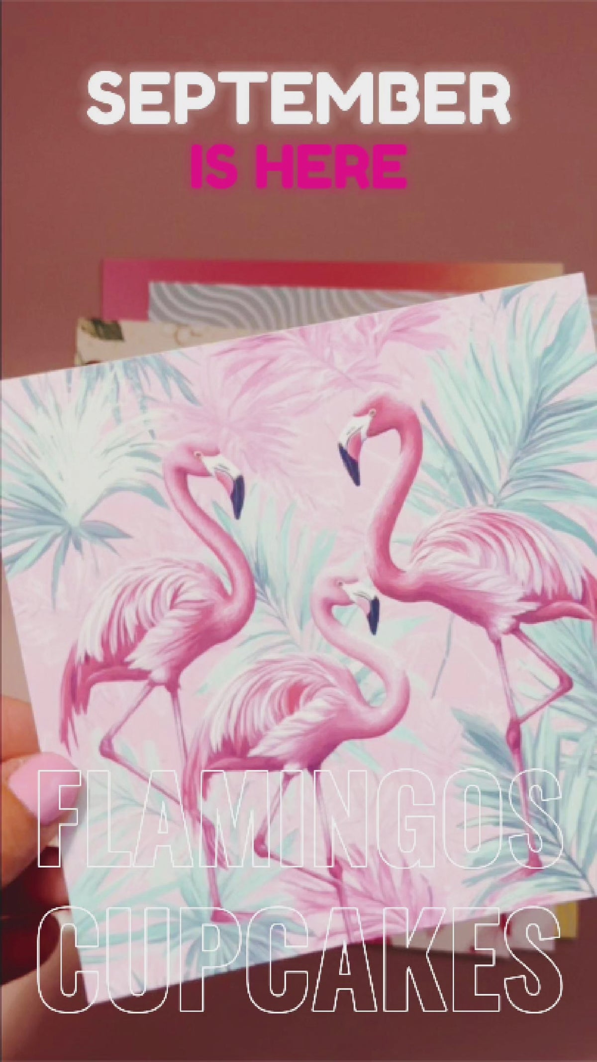Cupcakes & Flamingos Collection